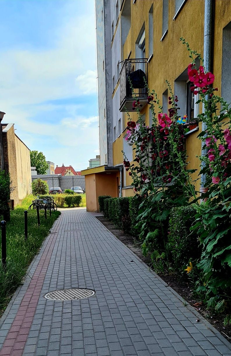 Wynajem na doby Apartament Inowrocław Samodzielne zameldowanie