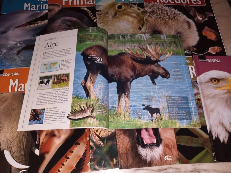 Livros sobre animais