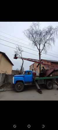 Спил деревьев лубой сложности..