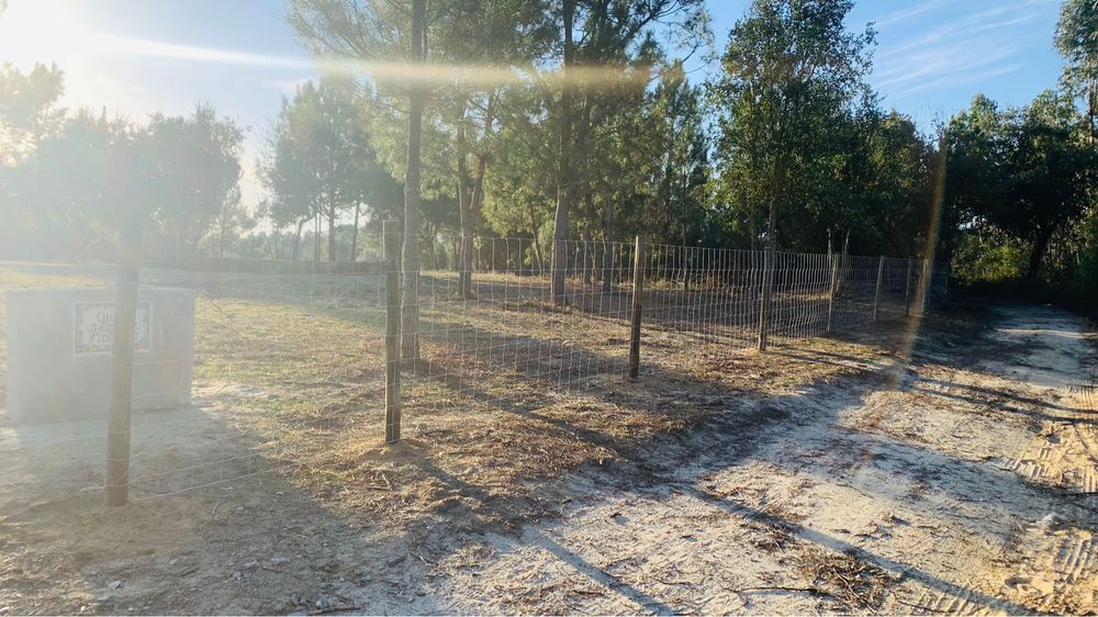 Vedações, Rede, Postes, Madeira, Cimento