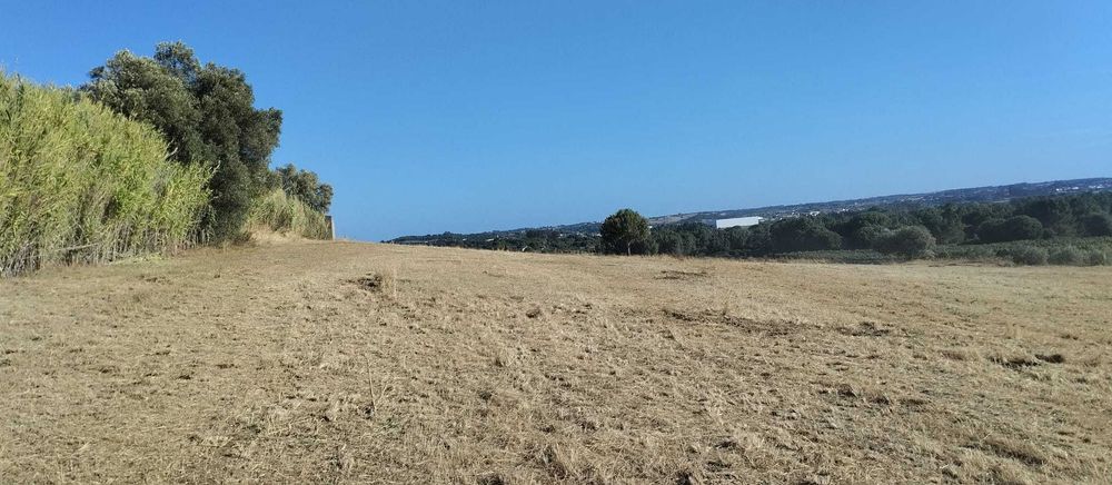 arrenda-se 3000m2