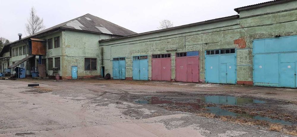 Промисловий комплекс 41 969 м2, 18,5 га, Неполоківці, Магістральна, 43