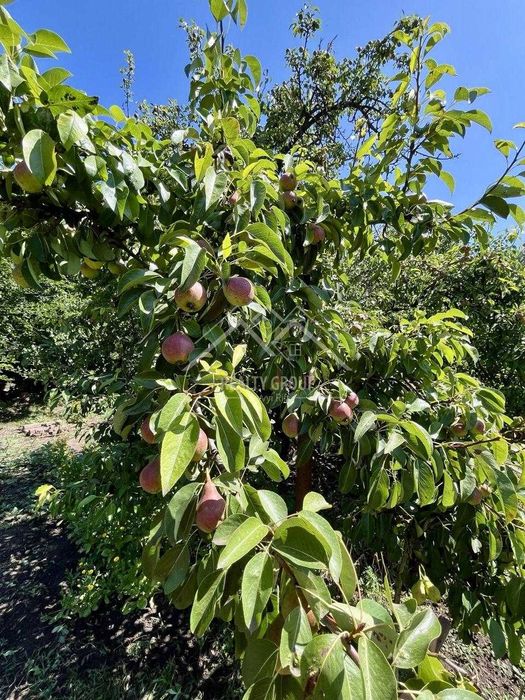 Продаж  просторого будинку Універмаг 44 квартал
