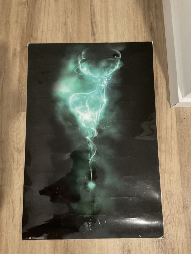 Poster plastificado grande de Harry Potter