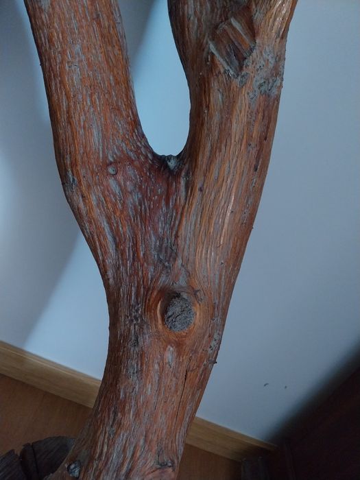 Tronco de madeira para decoração