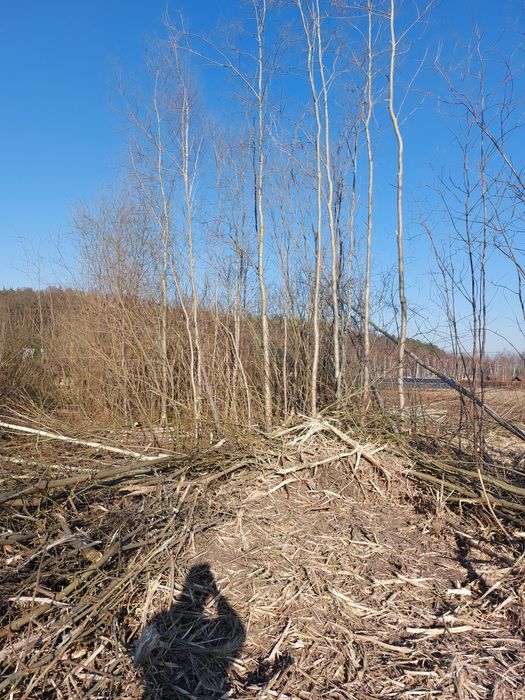 Mulczer leśny oczyszczanie działek wycinka karczowanie