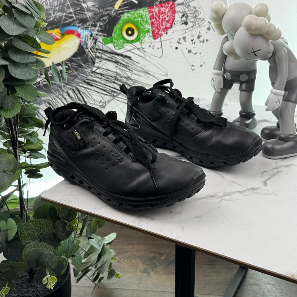 Кросівки шкіряні Ecco Biom Gore Tex 43 розмір 4901