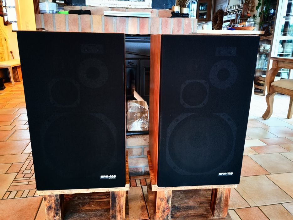 Głośniki Pioneer HPM 100