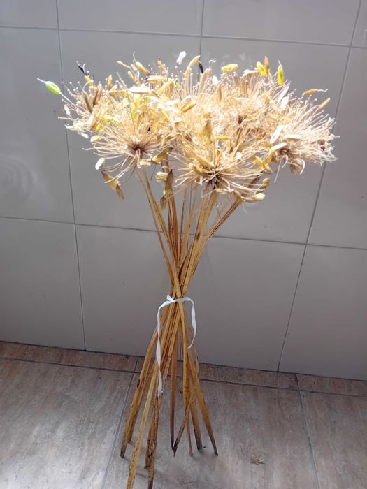 Ramos de flores secas longos para jarra ou jarrao
