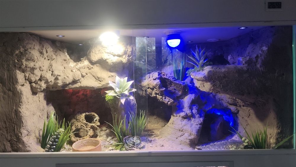 Terarium z oświetleniem