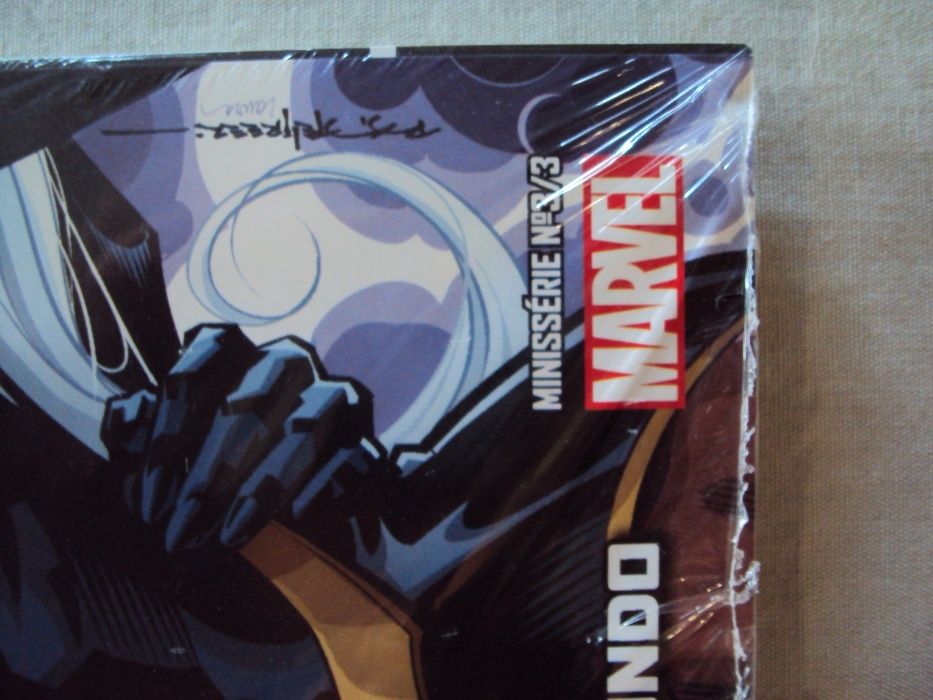 A Pantera Negra - Os Vingadores (Marvel)
