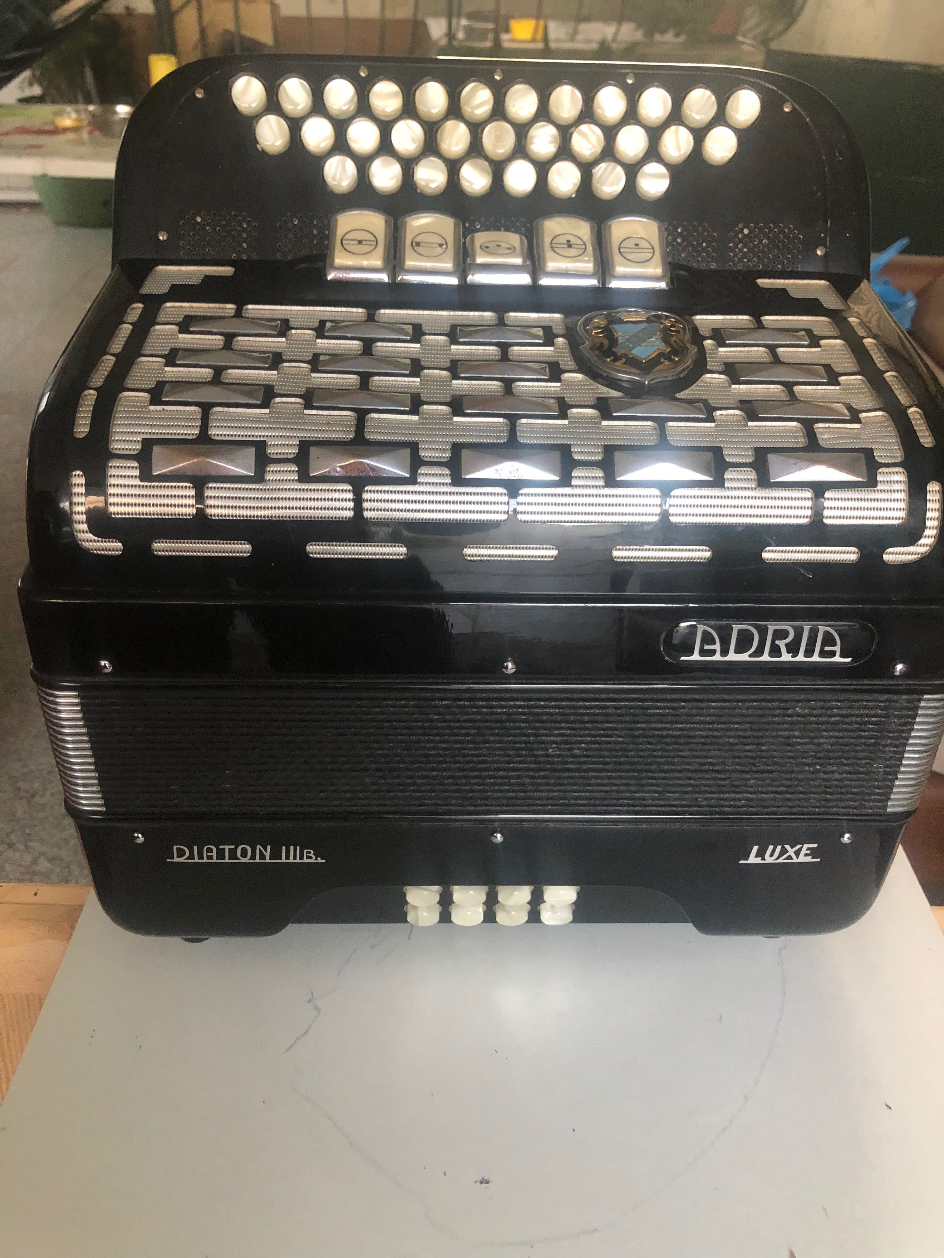 Vendo concertina Adria a 3VOZ de Luxe e a9 na baixaria