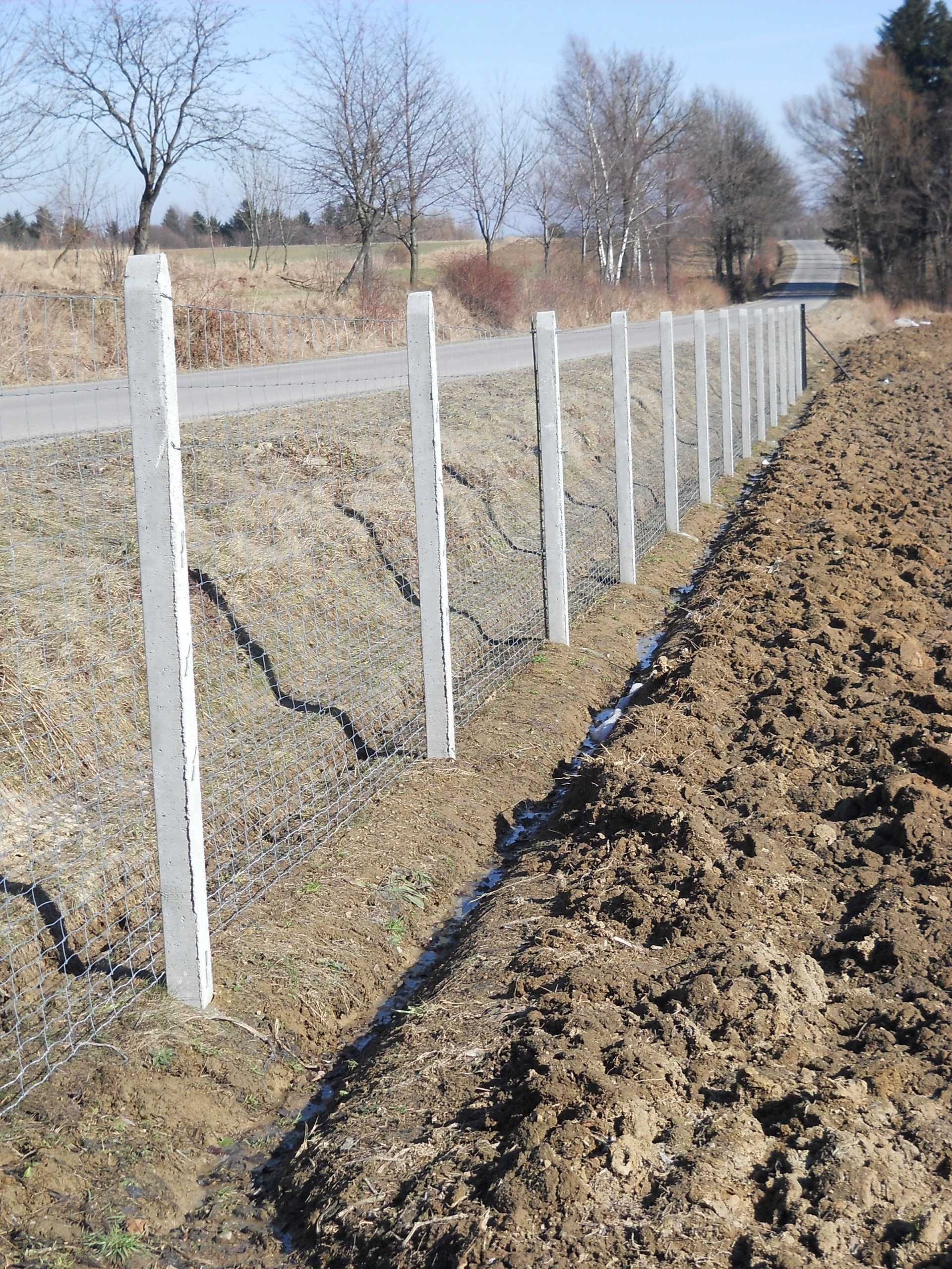 Słupki ogrodzeniowe betonowe  do siatki leśnej i sadownicze Producent