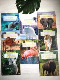 Набір з 8 великих книжок формат А4 про тварин