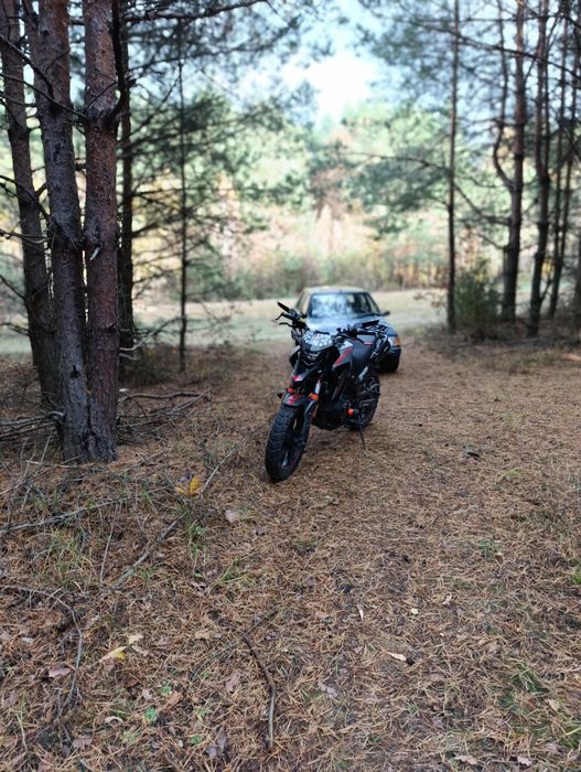 Tekken 250_ 2023 рік