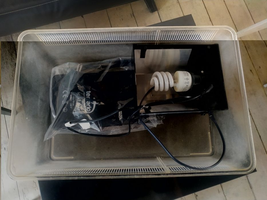 Продається тераріум в робочому та відмінному стані