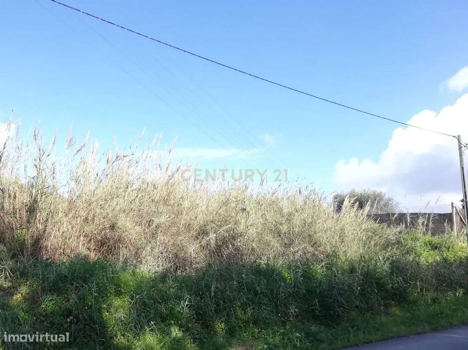 Terreno para construção em Póvoa - Alcobaça