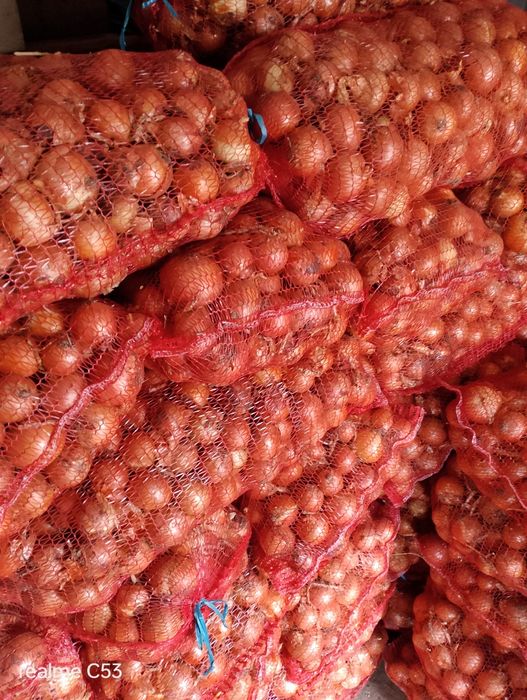 Продам цибулю.С.Чаплинка