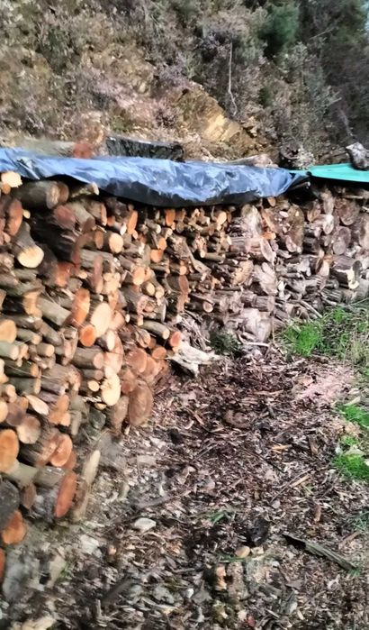 Lenha seca com entrega ao domicilio