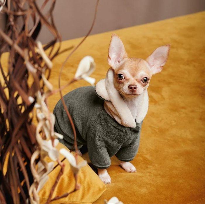 Костюм для собак  Alf Pet Fashion