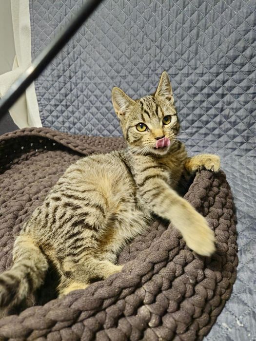 Błagam o dom. Nie chce wracać na dwór.