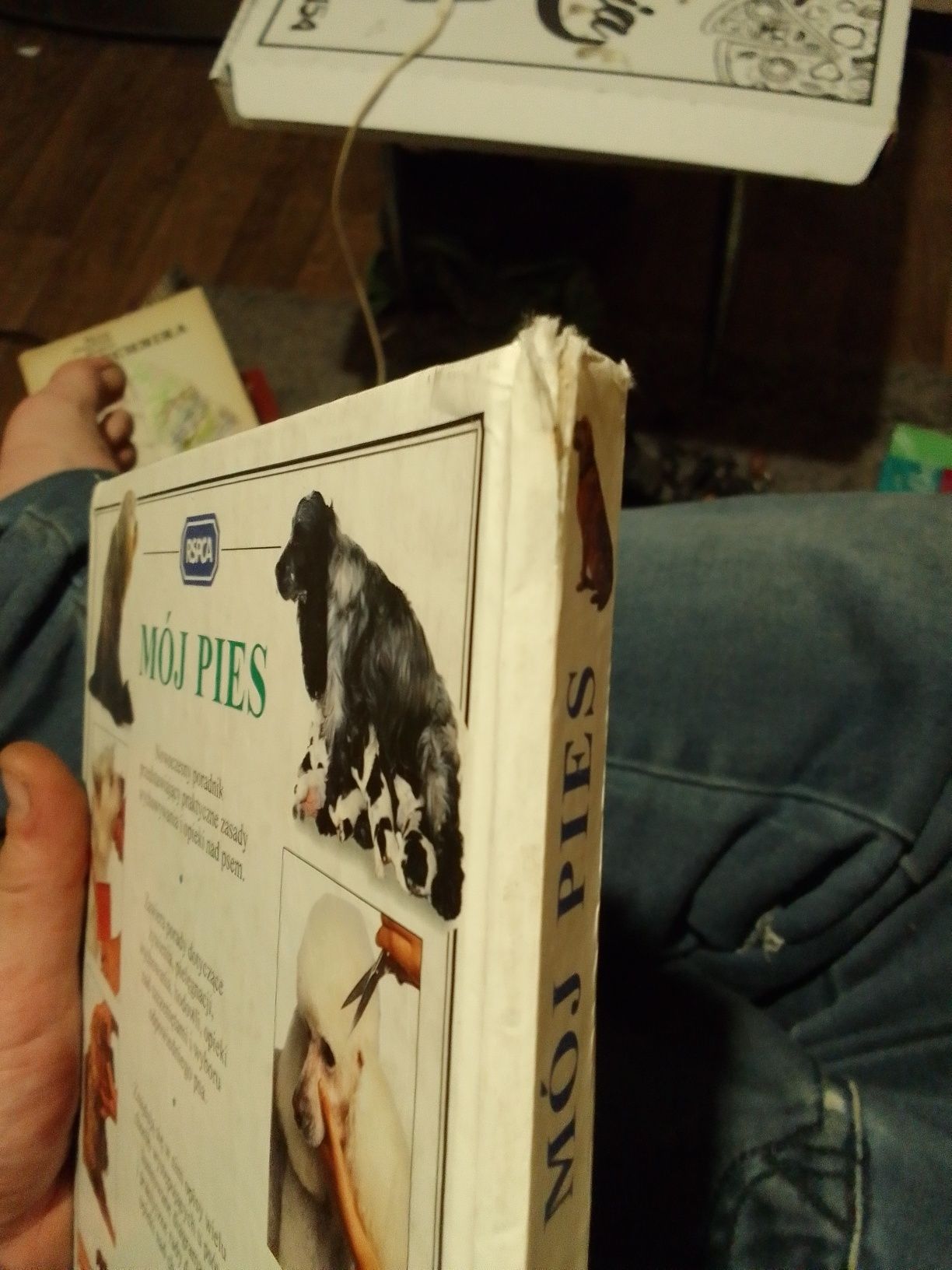 Mój pies książka