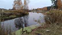 Ділянка з виходом до води. Поруч ліс.