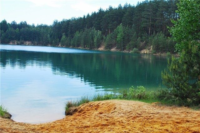 Участок у ліса, 70 соток. Олешня. Голубі озера.