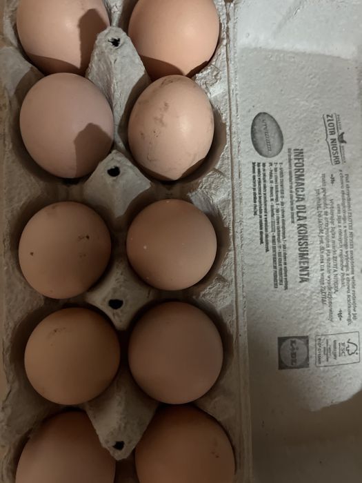 Jajka od szczęśliwych kur