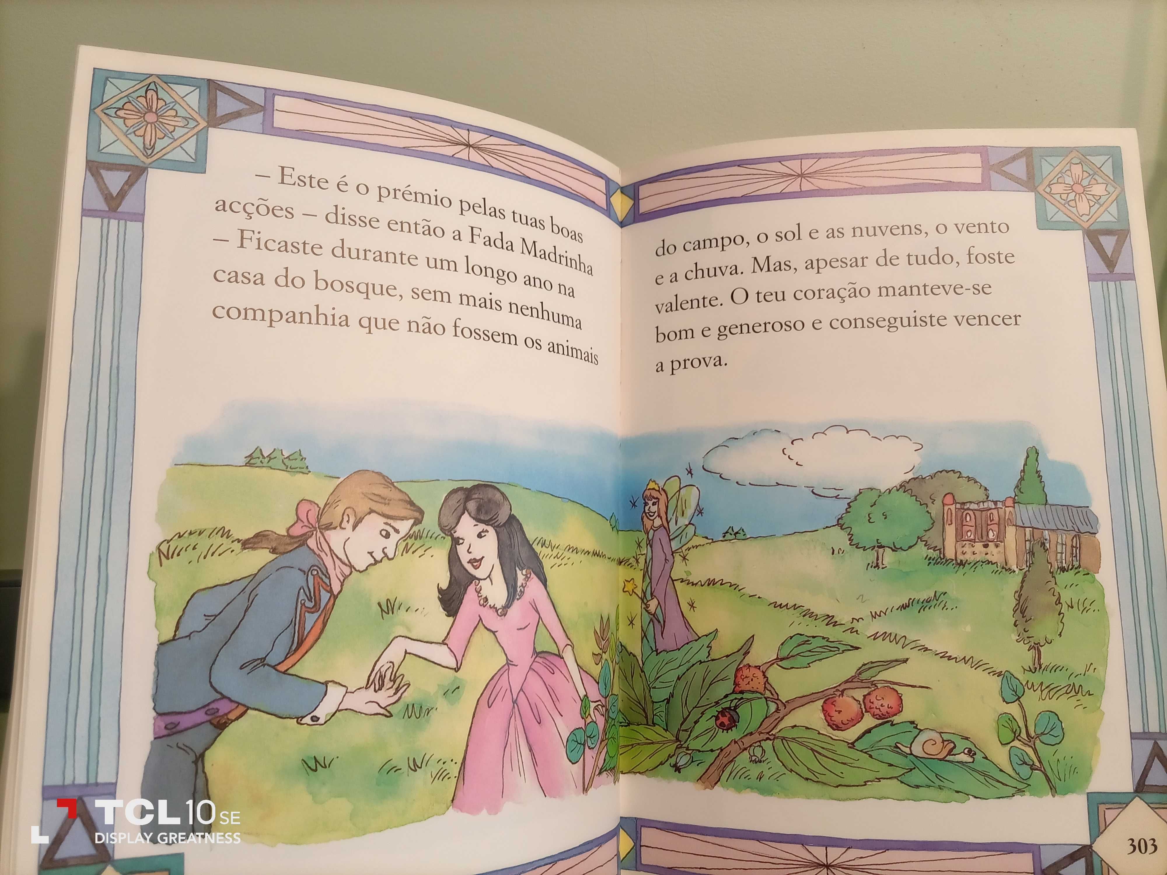 O grande livro de contos