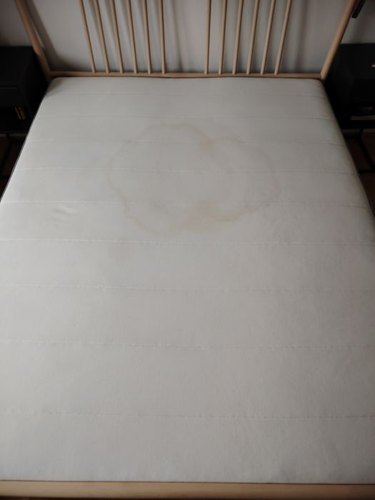 Pranie tapicerki meblowej oraz dywanów. Wynajem odkurzacza piorącego