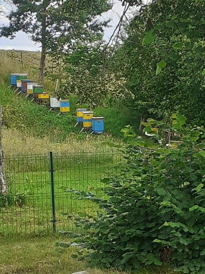 Noclegi Agroturystyka Miejsce z klimatem