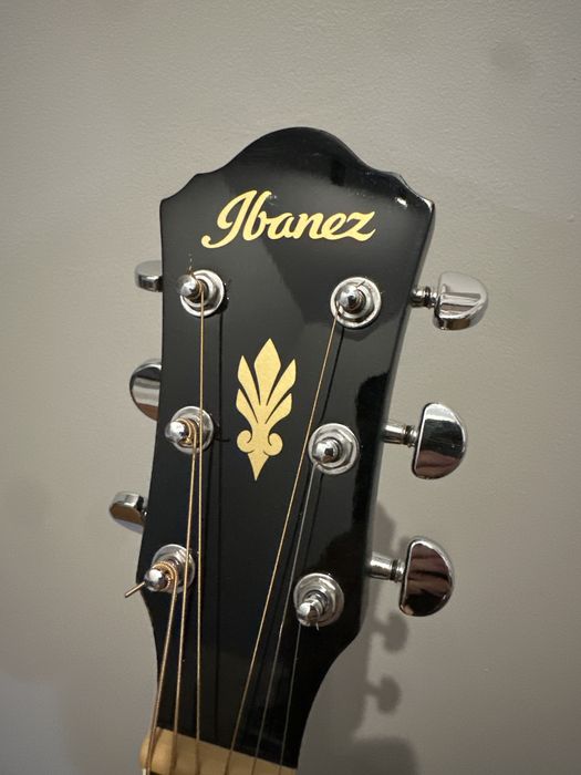 Ibanez AEG8E tbs