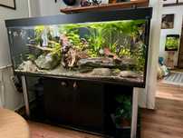 Akwarium zestaw 576 litrów, pokrywa, ryby, rośliny, skały