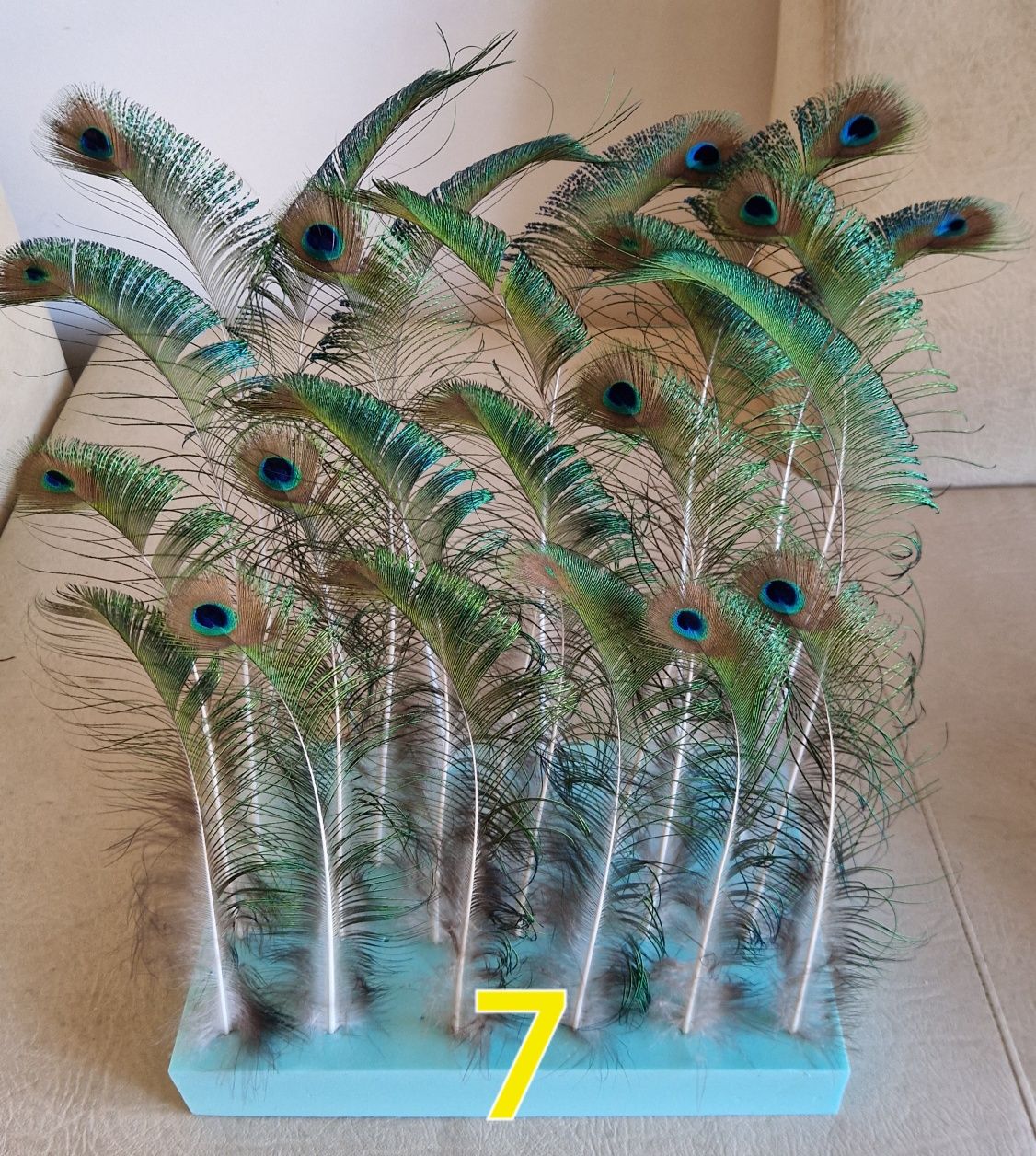 Penas de pavão azul