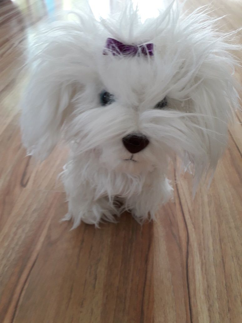 Piesek interaktywny FLUFFY marki AniMagic chodzi na smyczy szczeka