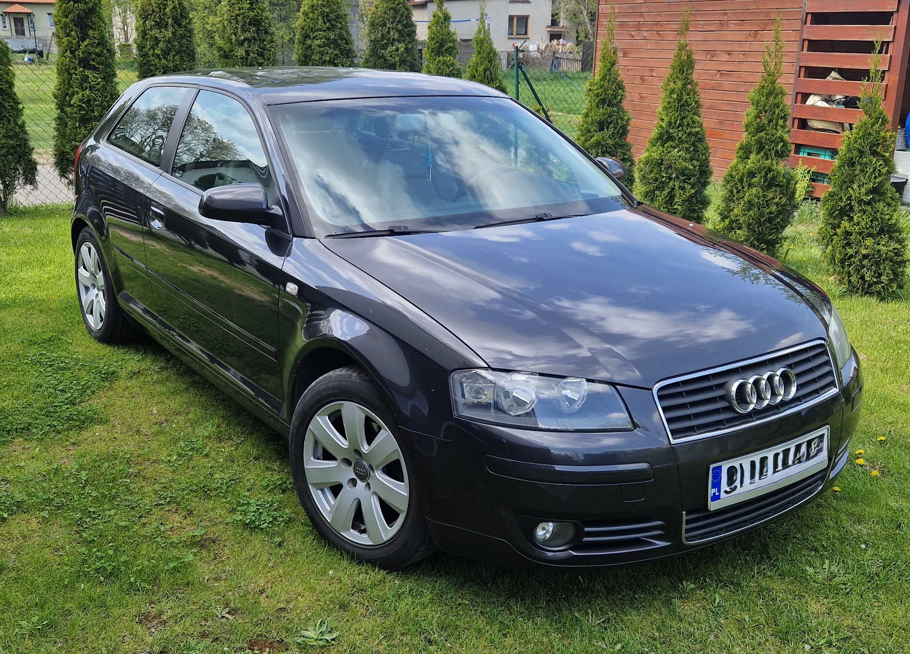 Audi A3 8p 2.0 benzyna