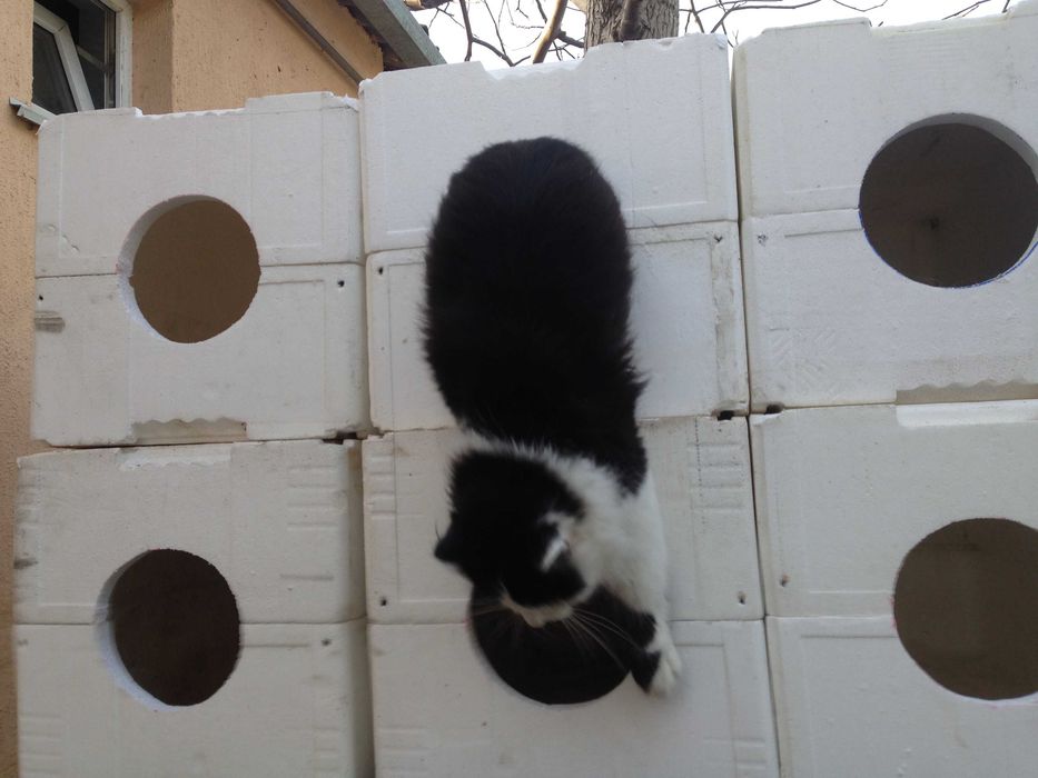 Домик, будка для кошки, собачки.