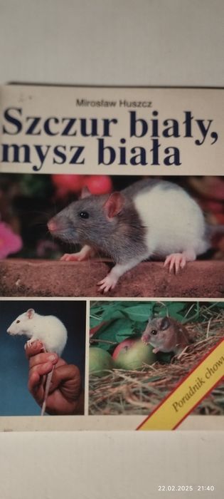 Szczur biały ,mysz biała - poradnik chowu-Mirosław Huszcz
