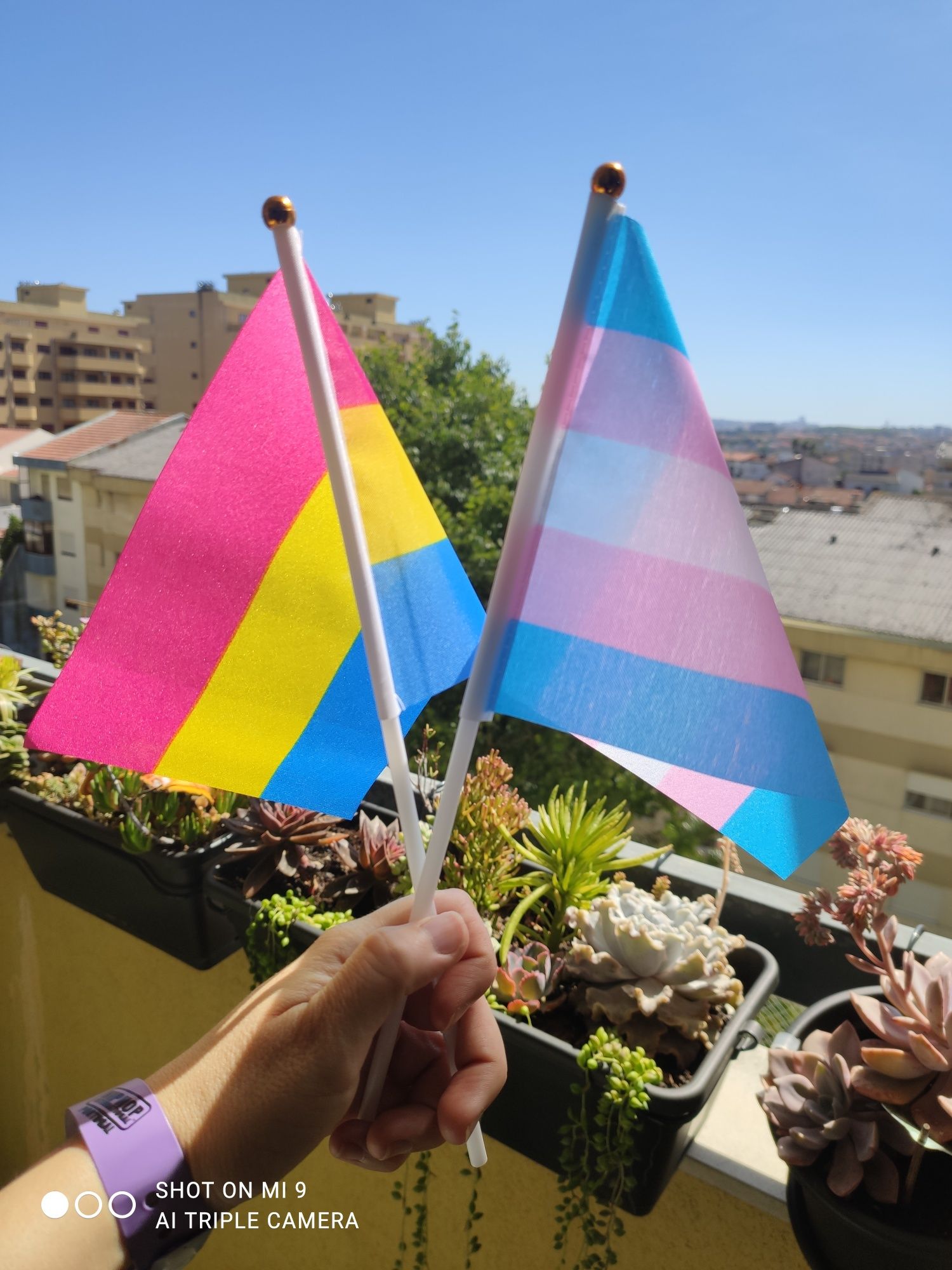 Bandeirinhas LGBT várias