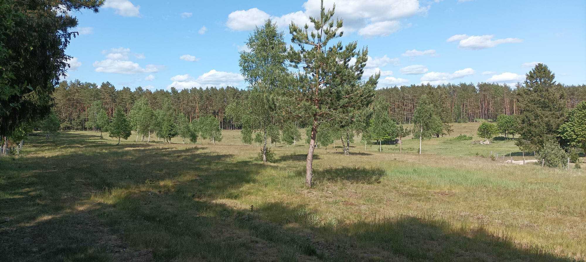 Sprzedam działkę nad jeziorem w Sępolnie Małym