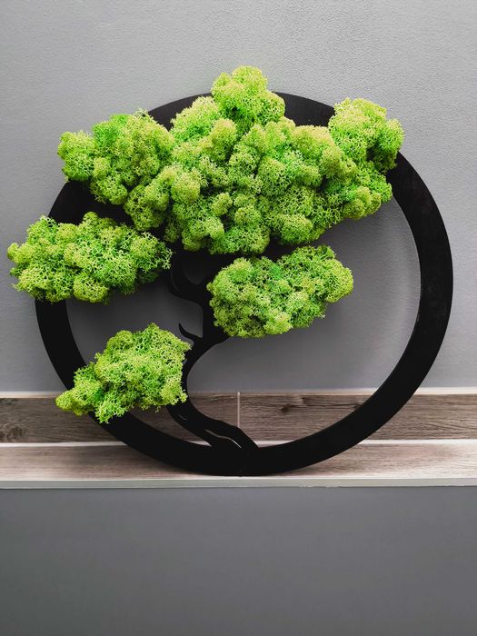 Drzewo bonsai - dekoracja, prezent chrobotek 40cm
