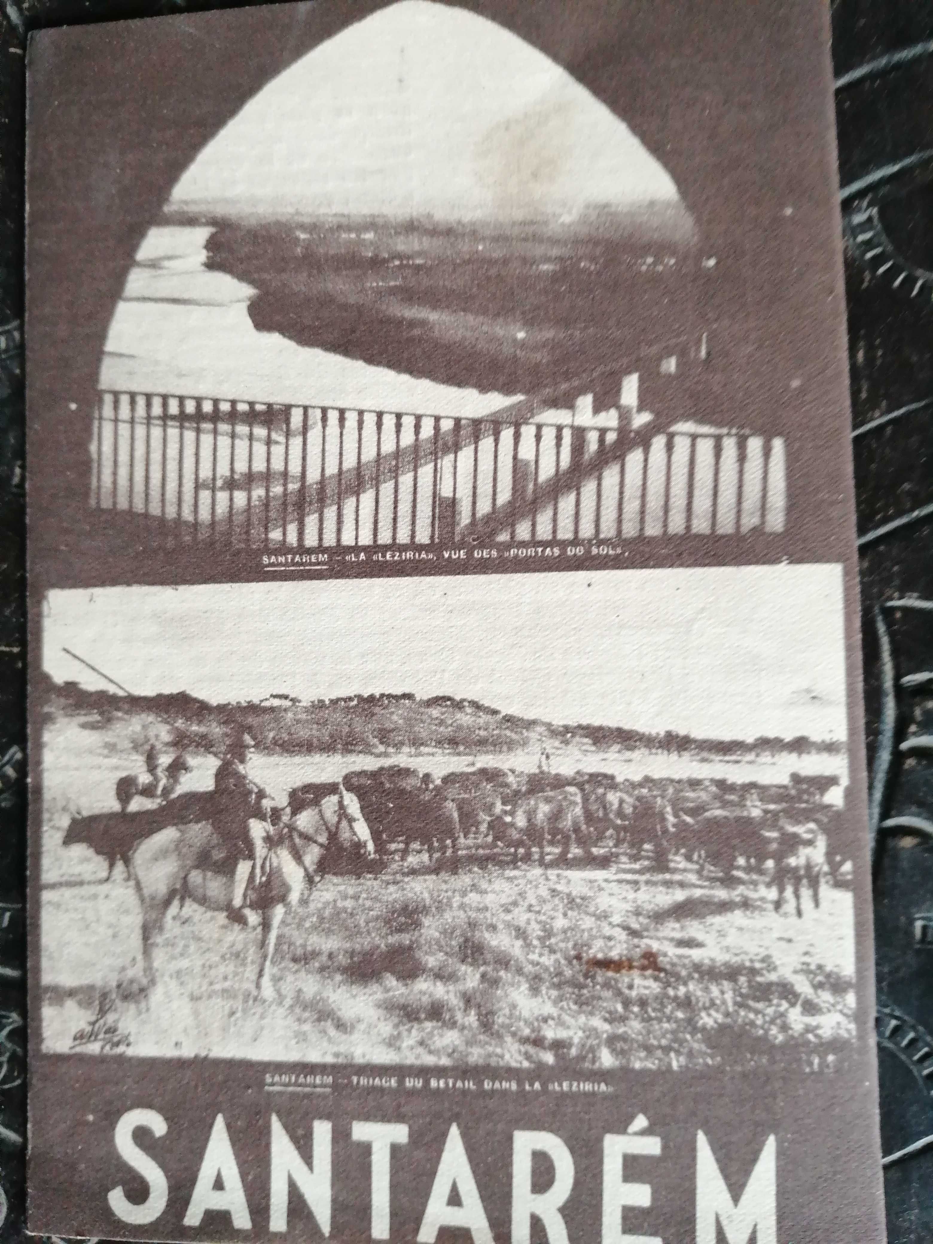 panfleto de Santarem de 1948 , em frances