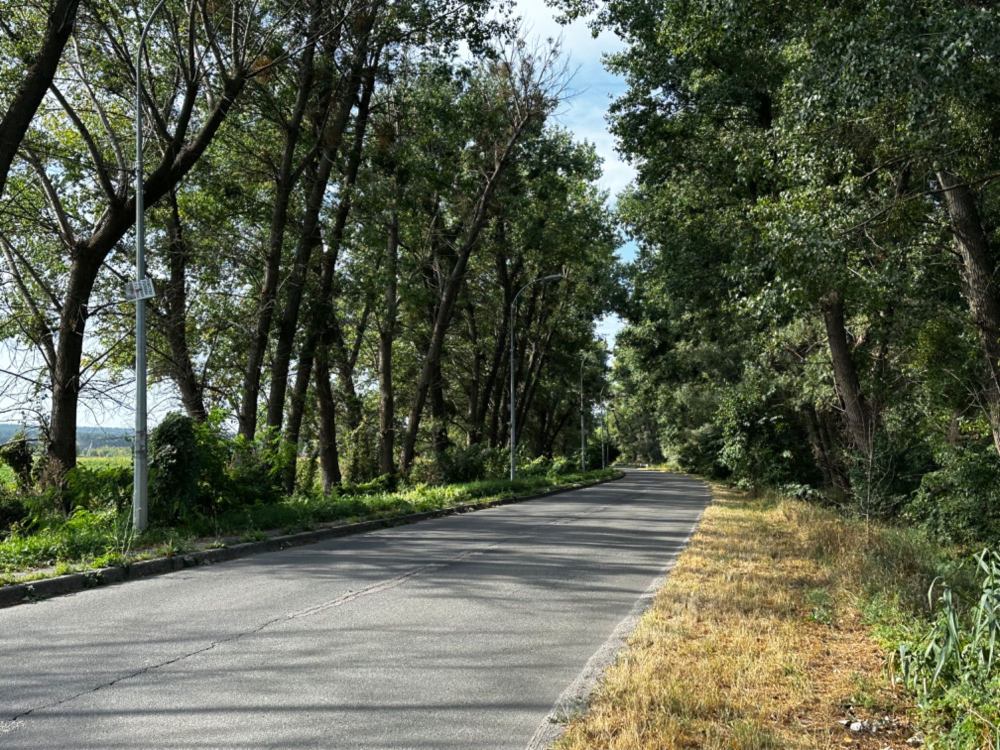 Ділянка с. Безрадичі обмін на авто.