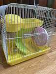 Transportadora hamster tipo russo
