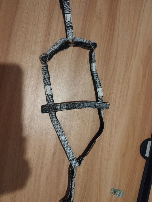 Szelki dla małego psa