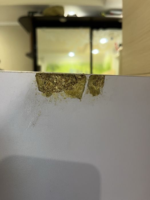 Ліжко-чердак/ярусне ліжко з шафою і робочим місцем