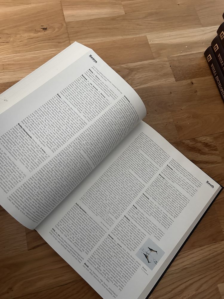Wielka encyklopedia pwn 31 tomow