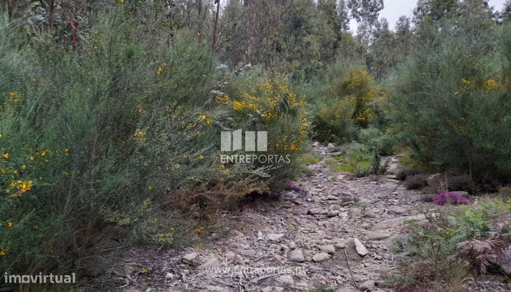 Venda Terreno, Vila Cova, Penafiel