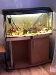 Akwarium 200 l zestaw